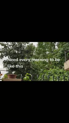 Need every morning to be like this